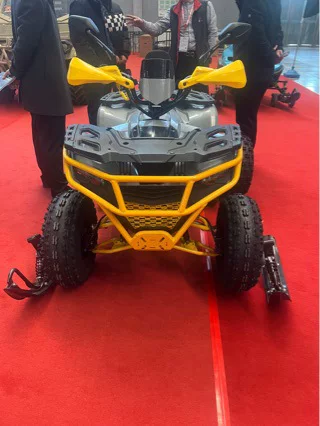 Заводной квадроцикл ATV снеговой колесо ATV 150 куб. см четырехколесный внедорожник 200 куб. см ATV квадроцикл вне дороги депозит
