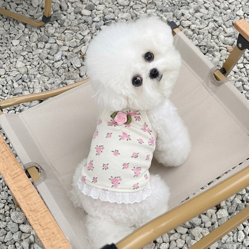Pet Clothing New Spring/Summer Floral Lace Strap Short Princess Dress for Teddy, Bichon, Dogs, and Cats Home Wear Pet Clothing New Spring/Summer Floral Lace Strap Short Princess Dress for Teddy, Bichon, Dogs, and Cats Home Wear
