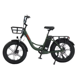 电动自行车;电动摩托车;其他电动车