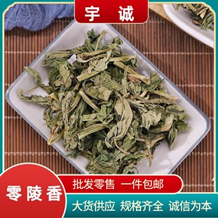 �`�����ș�������� �`�� ���`�� ������ϻ�偵����{�ϰ��]