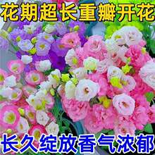 ���羳��̹�؛����۹����N���ļ����N�׳ɻ��_���҃��������Ե�