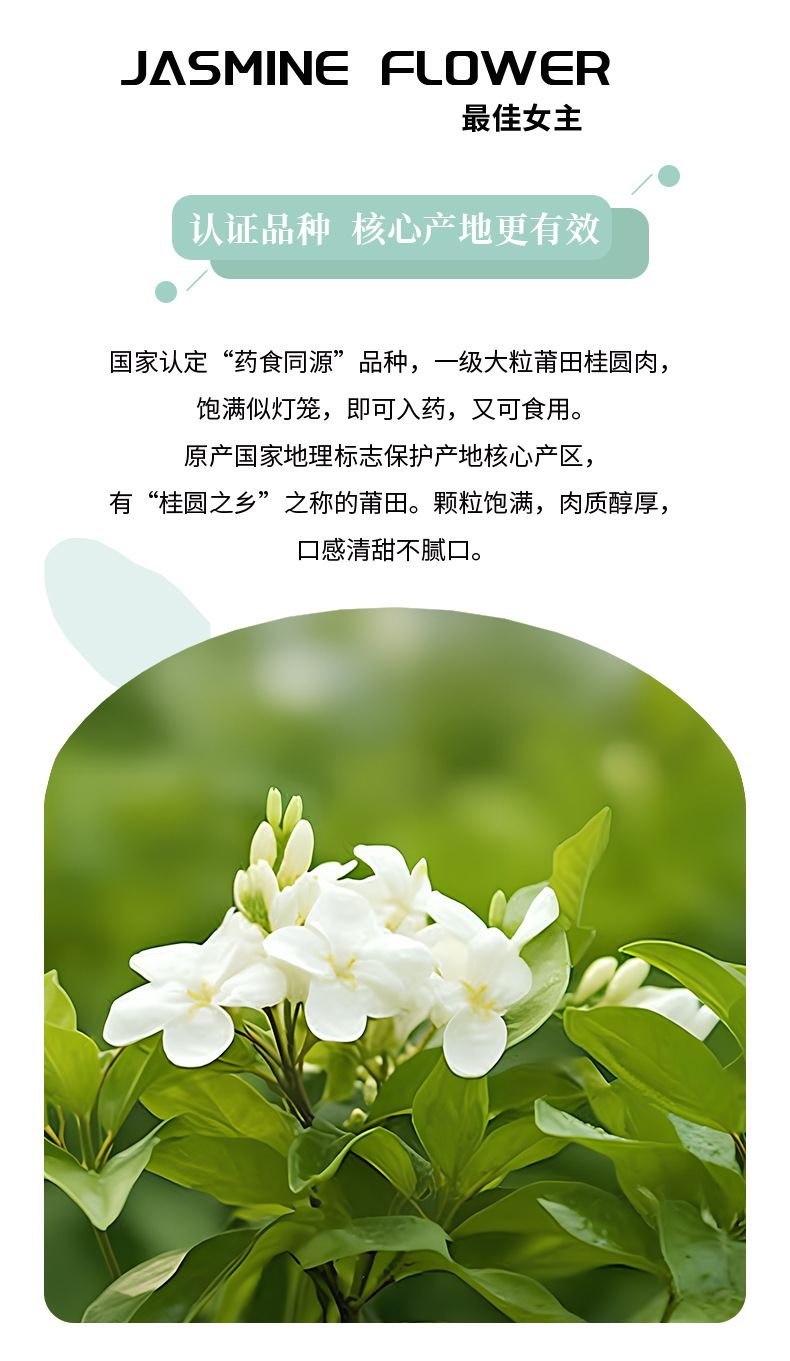 Jasmine Snow Ball Tea Mo Li Hua 50g Premium Dried Jasmine Flowers Cold Brew Herbal Wellness Tea Sugar Free key features