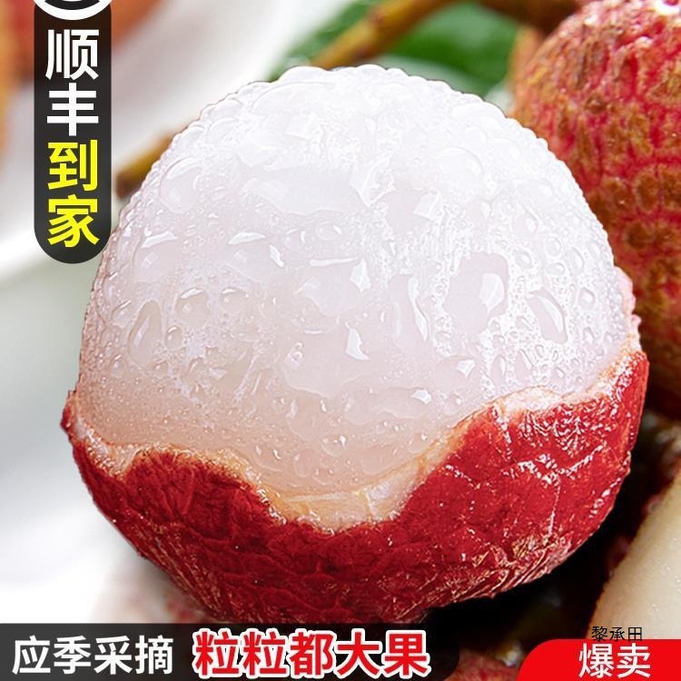 Fresh Lychee Frozen Hainan Feizixiao Lychee Gui Fresh Pregnant Women Seasonal Fruit 10 Jin SF Express Included