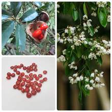 ��ľ��N�Ӽt����N�Ӷ����t����N�Ӽt����ȸ������ľ�N�ѾG���N