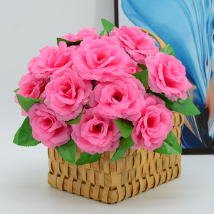 С��ѻ�����õ�廨���̈�����չ���[�żҾӿ͏d�b�Y���üٻ�