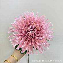 ������^��צ�Ҿ��b��ܻ�c��Y���ſ͏d�廨�羳�ָз��滨