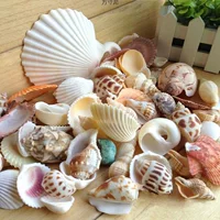Сетчатый мешочек-ракушка, морская звезда, декор для аквариума, украшение дна аквариума, песчаный ландшафт, декор для фотосъемки, микроландшафт, оптом