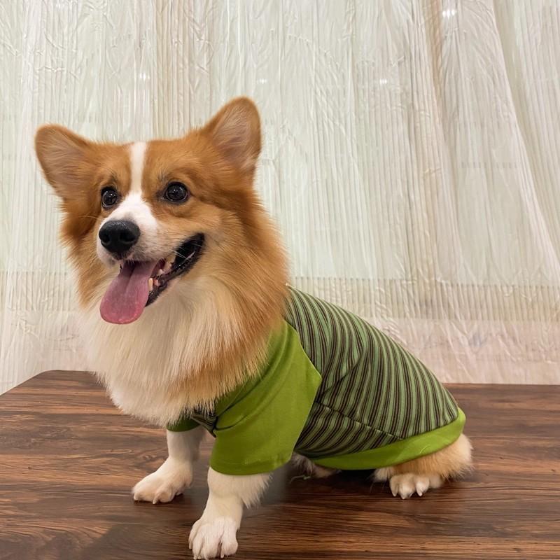 Perro de mascota primavera y otoño ropa Corgi perro calentamiento ocio tracción rayas camisetas de cuello redondo
