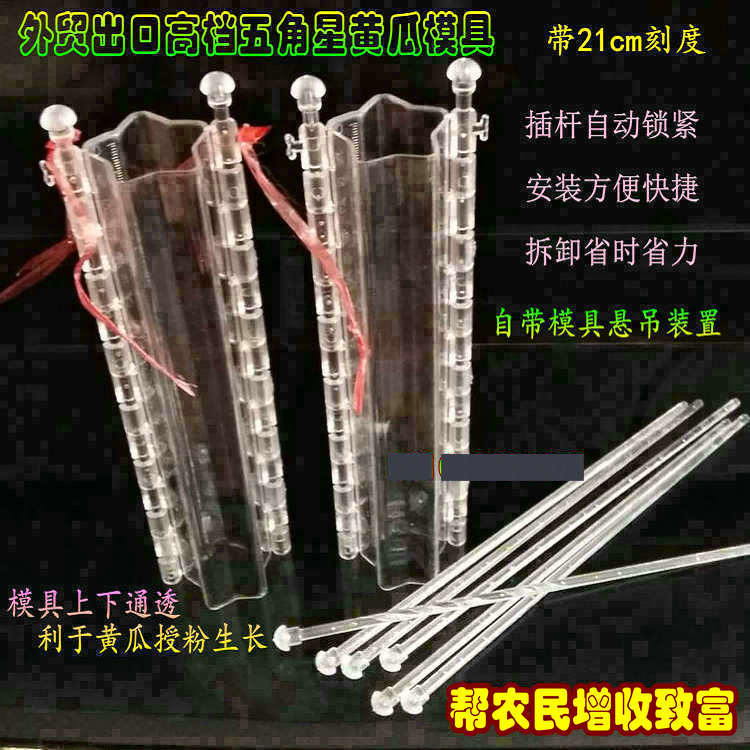 跨境五星黄瓜带插杆刻度21cm五角星模具自动锁紧范制葫芦定型模具