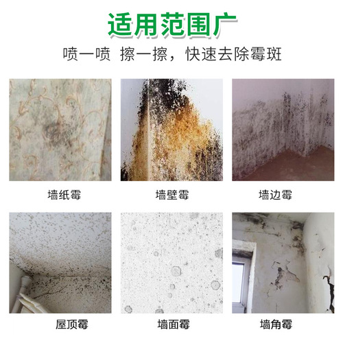Wall mold remover 500ml wall mold remover wood bathroom tile wallpaper mold remover antibacterial