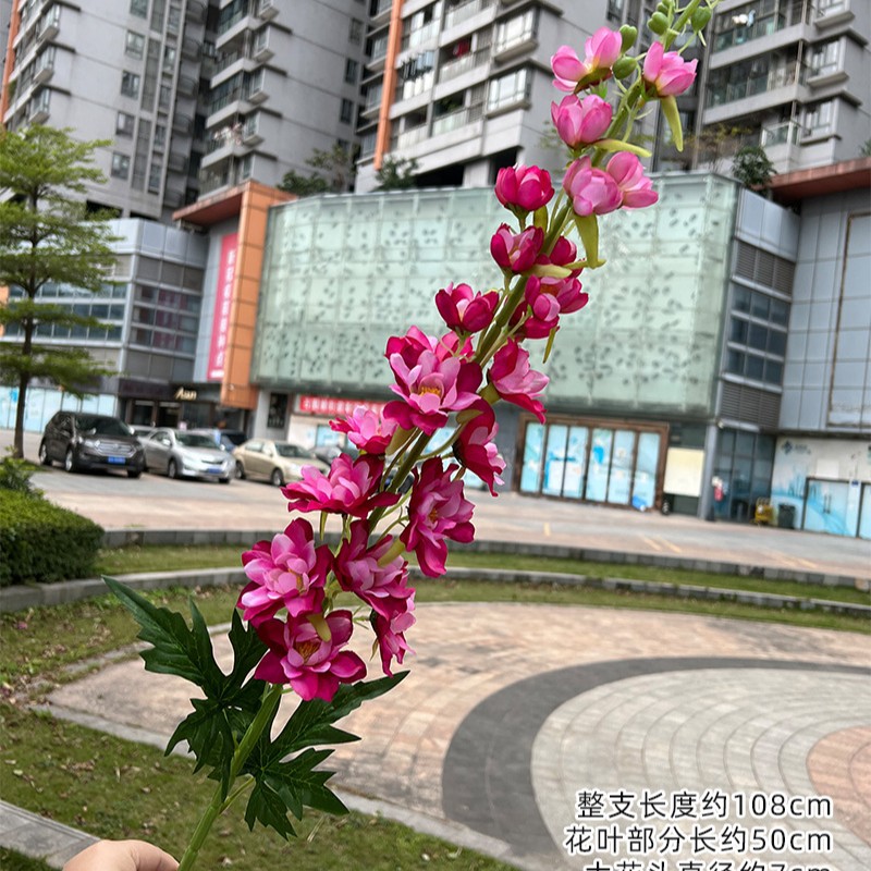 Delphinio Kenia Rosa Roja