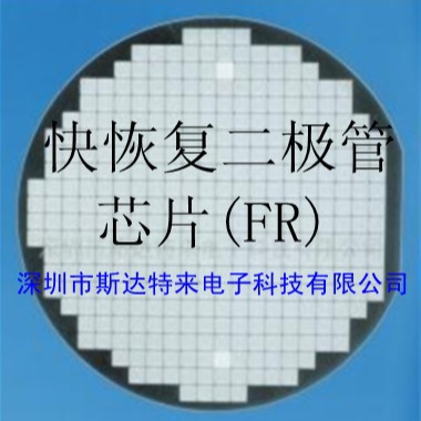 现货供应进口快恢复二极管FR（芯片/晶圆 /裸片）目录
