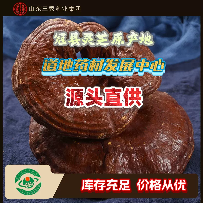 山东省冠县三秀呈祥灵芝批发源头直供厂家直销量大批发