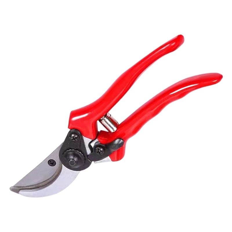 Tijeras de podar para árboles frutales rama especial flor floral rama tijeras de podar herramientas de jardín tijeras de flores poda tijeras de jardinería