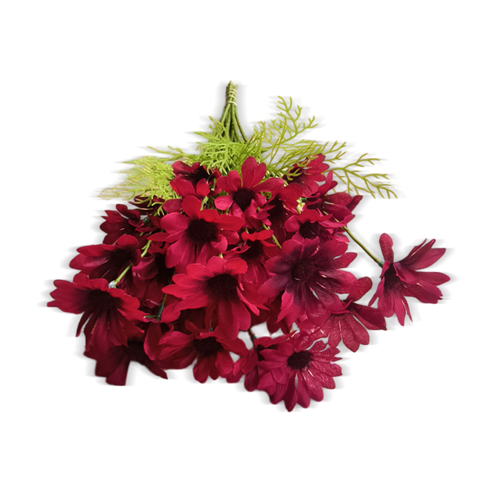 와인 레드 데이지