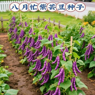 ����æ���ǷN�Ӹ߮a�o����ļ����ͺ��͟���@ͥԺ�＾�׷N����