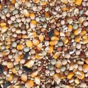 ��Ʒ���Z�����ןo�����Bʳ���������Ʒ��ȫ����ɰ���������^�p��