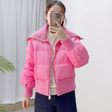 汉派专柜2025秋冬新款时尚韩版大翻领短款羽绒服女911