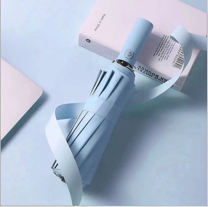 [내풍 싱글 본] 본 블랙 아교 하늘색