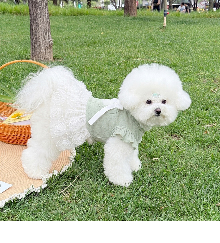 Vestido para cão estilo coreano roupa de princesa doce pet_voghion.com