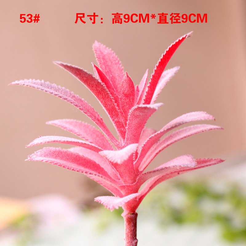 模擬多肉植物、小さな多肉植物、高品質の偽緑植物の壁、室内装飾の組み合わせ、植毛、リアルな模擬花の卸売|undefined