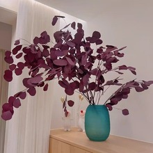 苹果尤加利叶进口永生鲜花客厅干花网红桌面工作插花基地直发好养