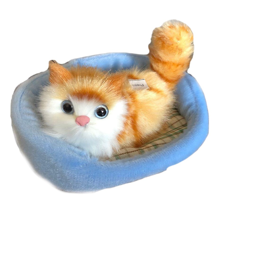 Simulación gato se llamará decoración animal juguete infantil se llamará juguete de dibujos animados juguete de peluche
