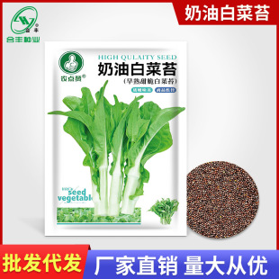 ���Ͱײ�̦�N��5��  �V�|�ײ�о�N�Ѳ��ķN�ݴ����ﶬ�߲������l