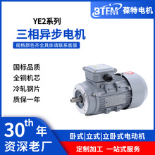 全铜线国标YE2-7124-0.37KW三相异步电动机 铝壳减速电机立式马达