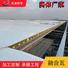 TPO�ں��߿ɻ� ʩ���o��Ⱦ �����| ���}�F �L���� �߷��� ���F��