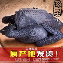 ɢ�B�����u�F�����r���u�r�Ҟ��uС���u���u���r��ĸ�u�ߵ��u��ֻ