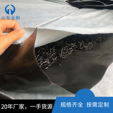 黑色2公分混凝土土工席垫塑料排水片材高铁挡土墙整体式反滤层