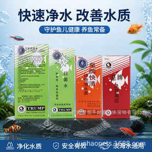 ��ۻ����~���f��ș �~�ș�� �^�p�~���~�~ș ��ˮ�~��ș 60ML