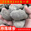 A German sea cucumber dried food Pearl longan Garden ginseng Place of Origin Source of goods Specifications Complete