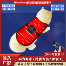 宠物红光理疗仪猫狗髌骨椎髋关节颈椎光子理疗热敷按摩红外线灯垫