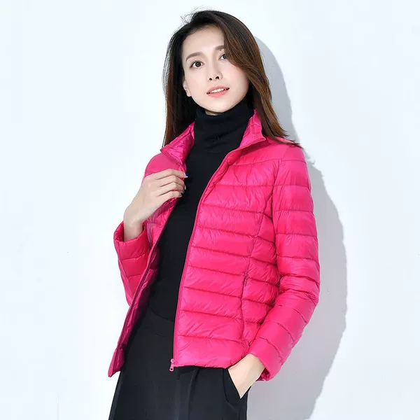 Rose red (standing collar)