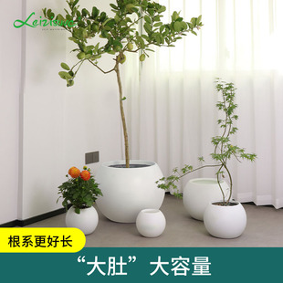 Laizhixiu spherical flower pot round Nordic simple white imitation ceramic desktop large spherical flower pot wholesale