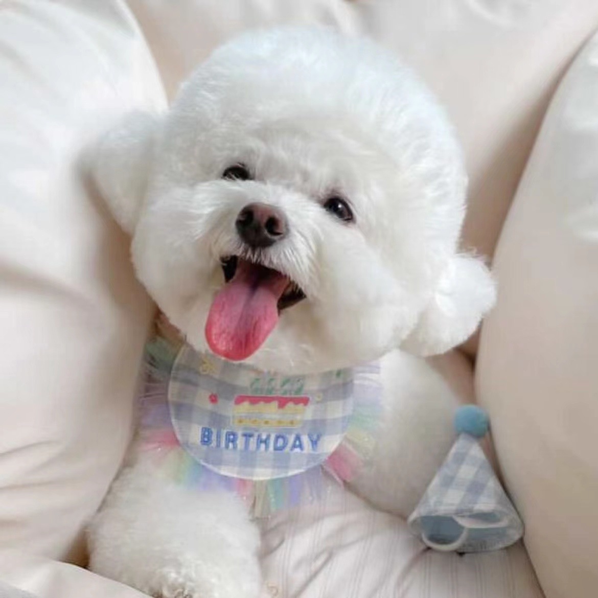 微信图片_20221007221119