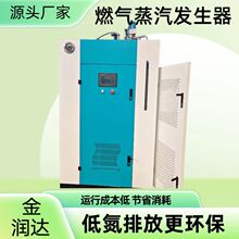全预混冷凝燃气蒸汽发生器 低氮全自动工业蒸汽锅炉 食品加工蒸煮