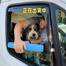 Car Window Chin Rest For Dogs ���ﹷ��܇���°���