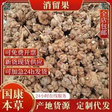 ��������Ϯa��؛Դ�^·�S���B�NҰɽ��������������N�������]