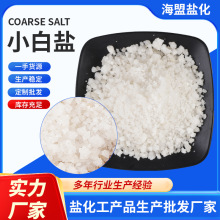 海盟工厂现货小白盐日晒盐水产养殖水处理氯化钠 工业盐批发