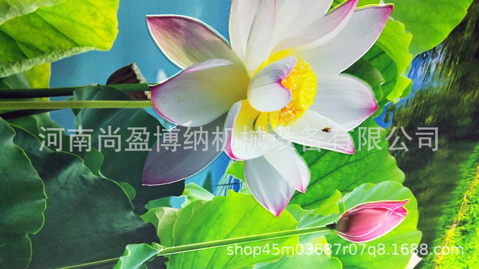 7c45cf17174c520f4c9b74027f60a0