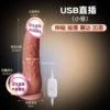 USB direct insertion telescopic swing vibration vibration heating trumpet