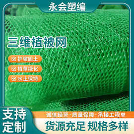 护坡绿化二层三层三维植被网 河道生态修复EM4EM3土工网垫防护