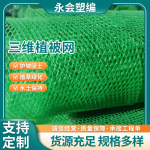 护坡绿化二层三层三维植被网 河道生态修复EM4EM3土工网垫防护