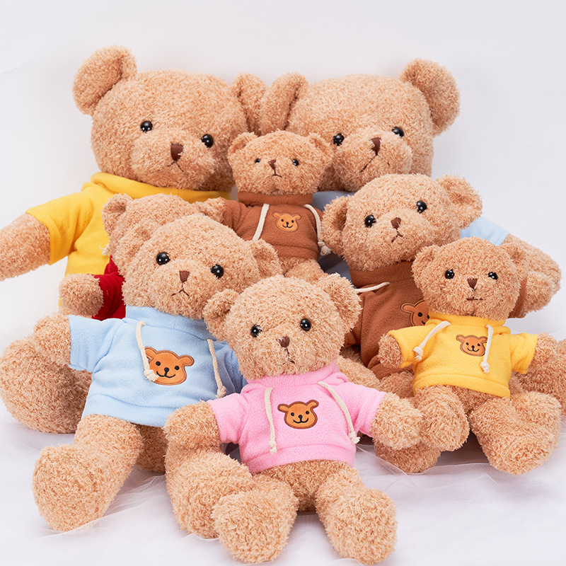 Sudadera de oso de peluche, suéter de oso, almohada de oso, muñeco de oso de peluche, juguete de peluche, logotipo de transferencia térmica