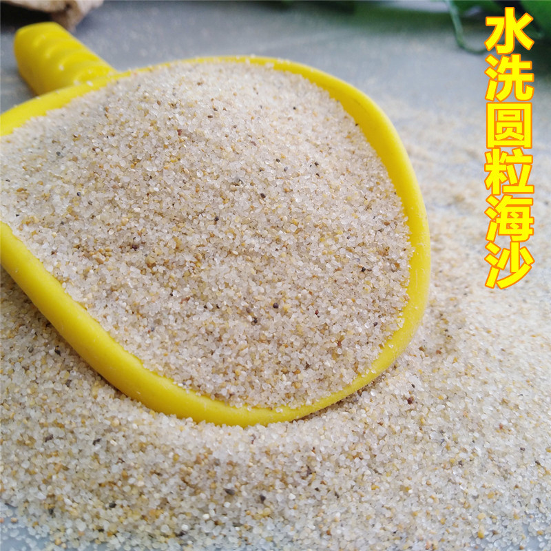 扬州儿童沙池用海沙 30-60目圆粒石英砂 人造沙滩白沙水洗海砂
