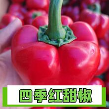 �M�ڶ�����������Ӽt�S�G����̫�ս��ļ��̨���Ը߮a�߲�����