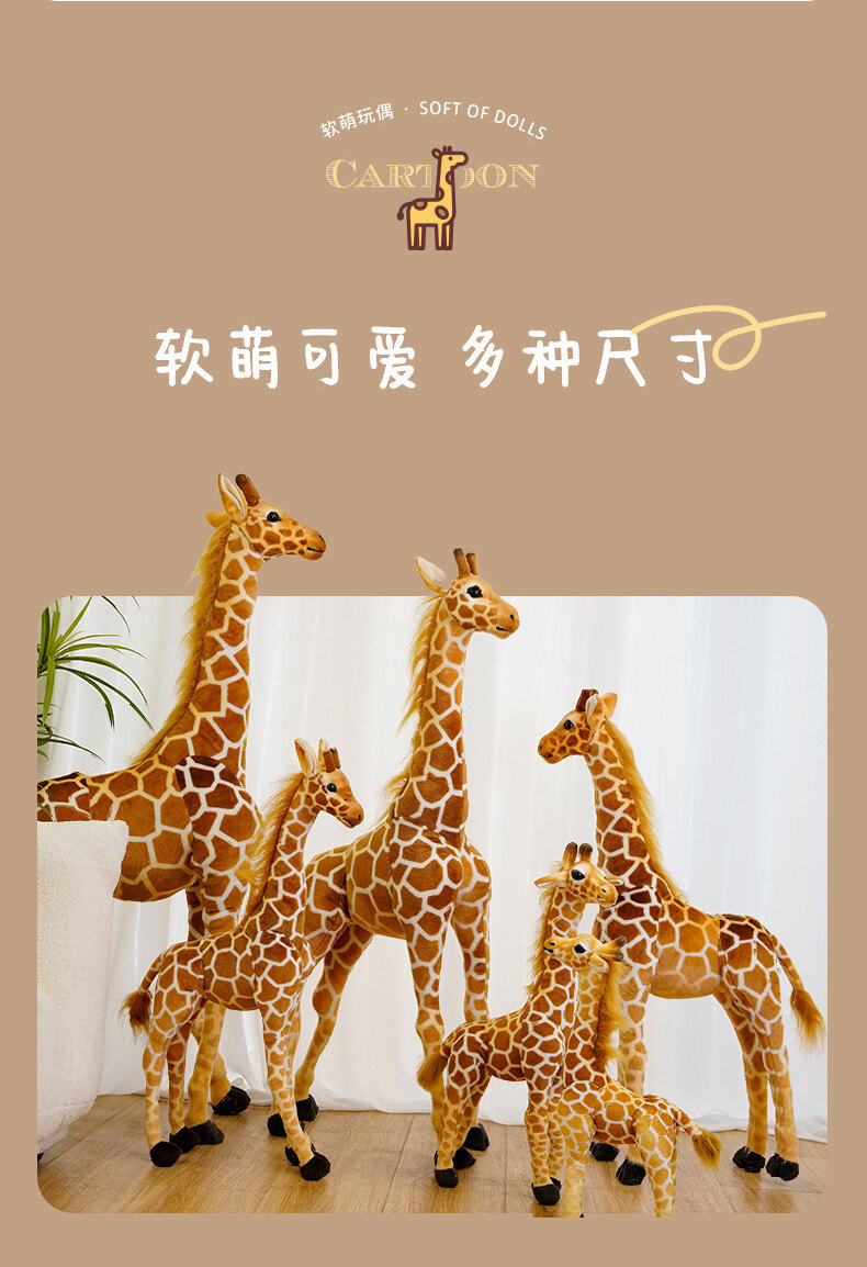 详情图
